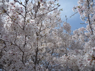 diary-image