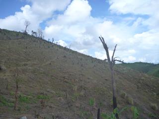 diary-image