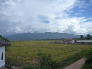 diary-image