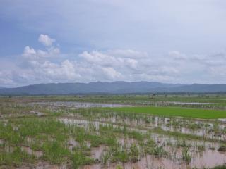 diary-image