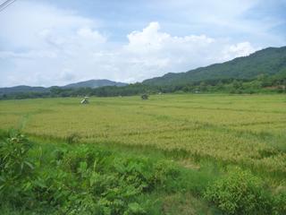 diary-image