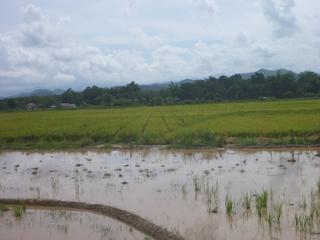 diary-image