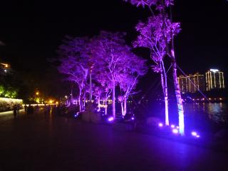 diary-image