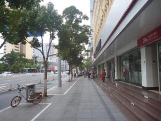diary-image
