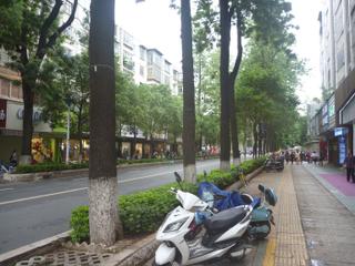 diary-image