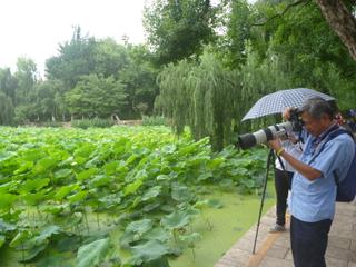 diary-image