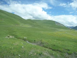 diary-image