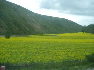 diary-image