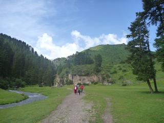 diary-image