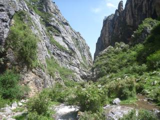 diary-image