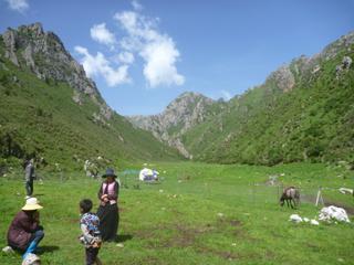 diary-image
