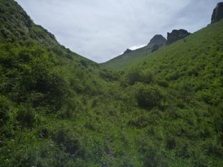 diary-image