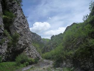 diary-image