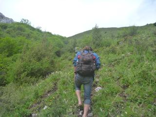 diary-image