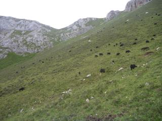 diary-image