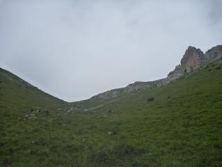 diary-image
