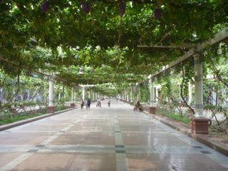 diary-image