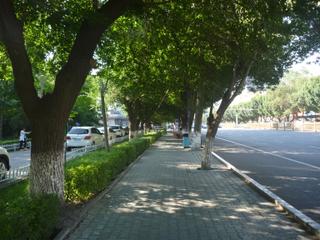 diary-image