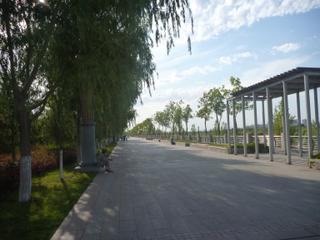 diary-image