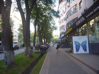 diary-image