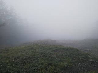 diary-image