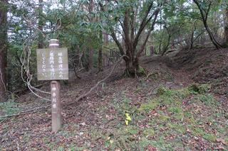 diary-image
