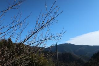 diary-image