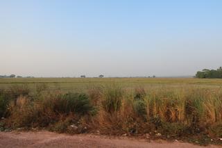 diary-image