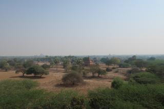diary-image