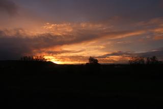 diary-image