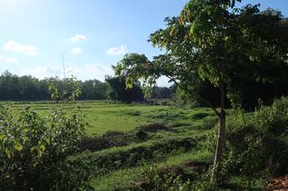 diary-image