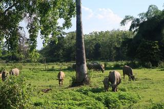 diary-image
