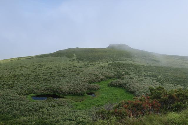 20200715S001