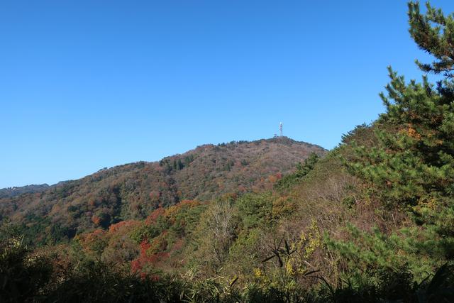 20201114S001
