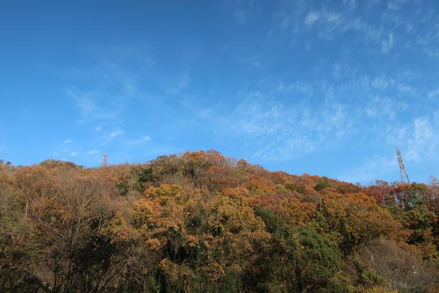 20201211S005